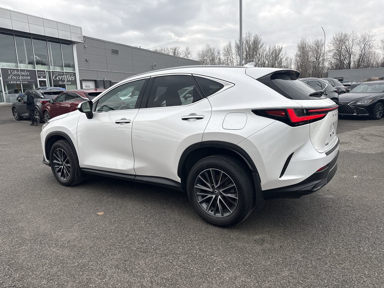Lexus NX  2025
