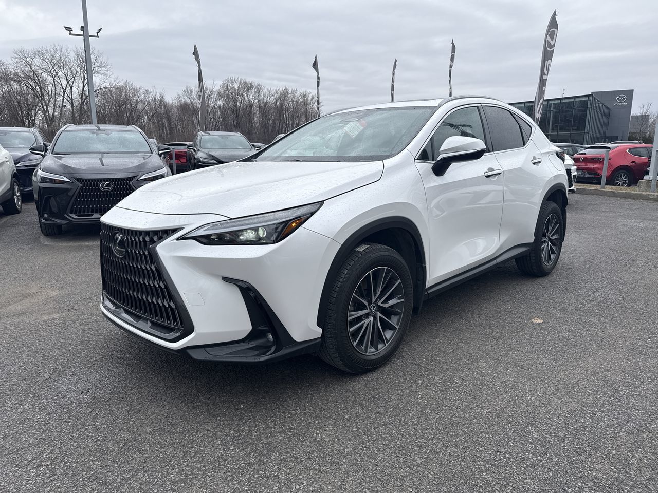 Lexus NX  2025