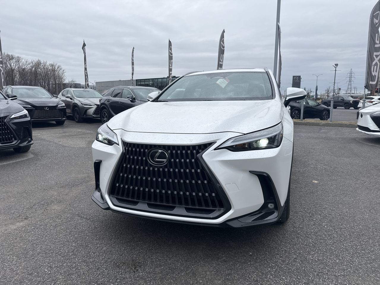 Lexus NX  2025