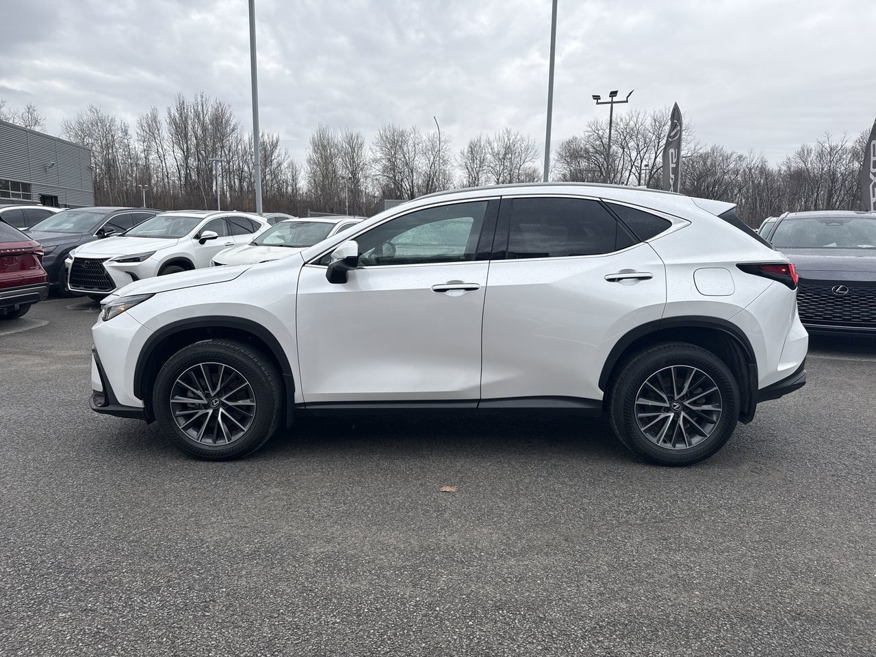 Lexus NX  2025