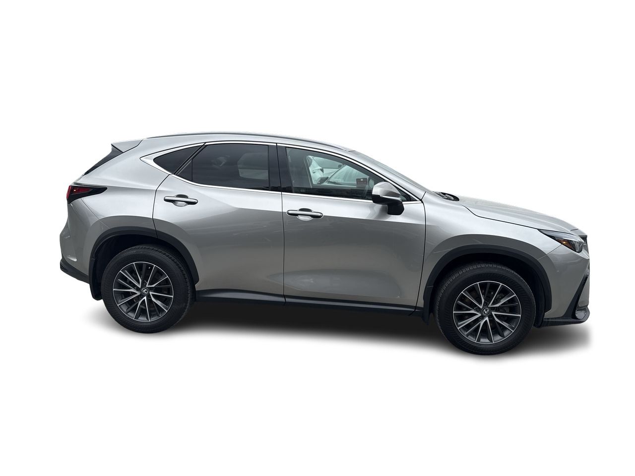 2025 Lexus NX