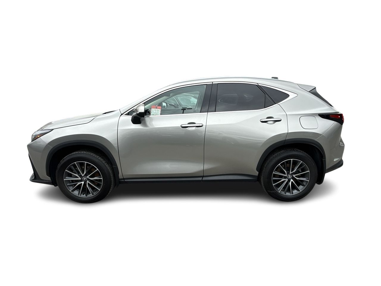 2025 Lexus NX