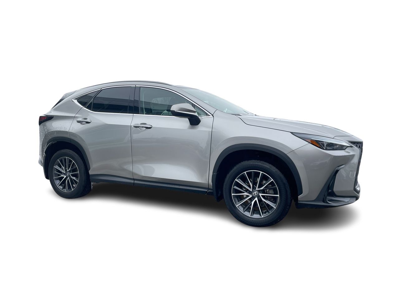 2025 Lexus NX in Laval, Quebec