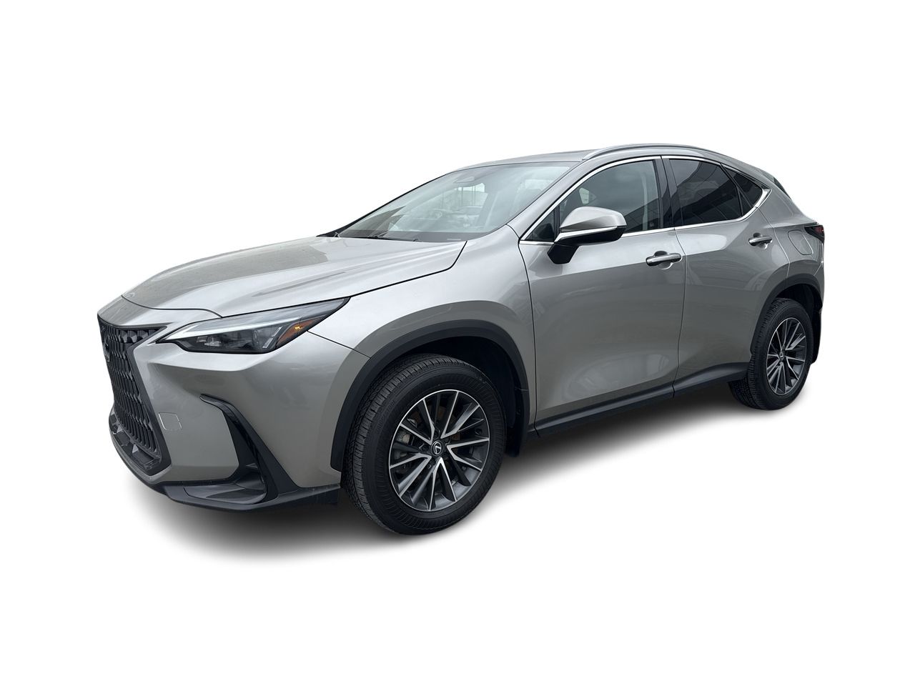 2025 Lexus NX