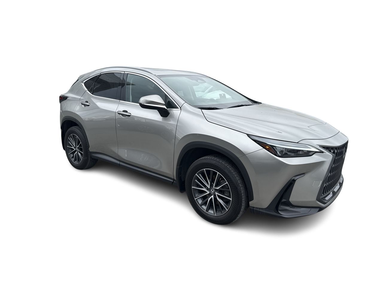 2025 Lexus NX