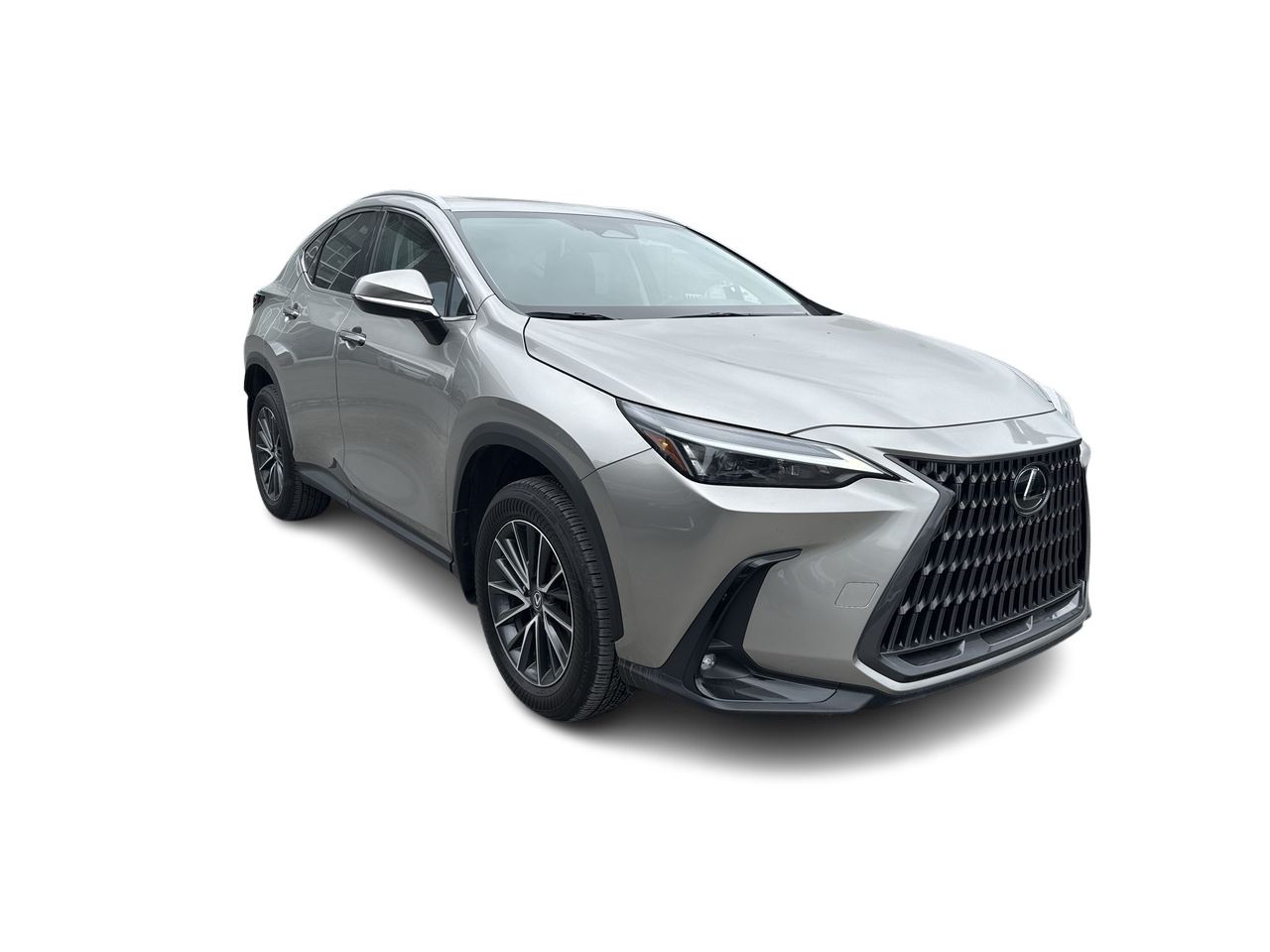 2025 Lexus NX