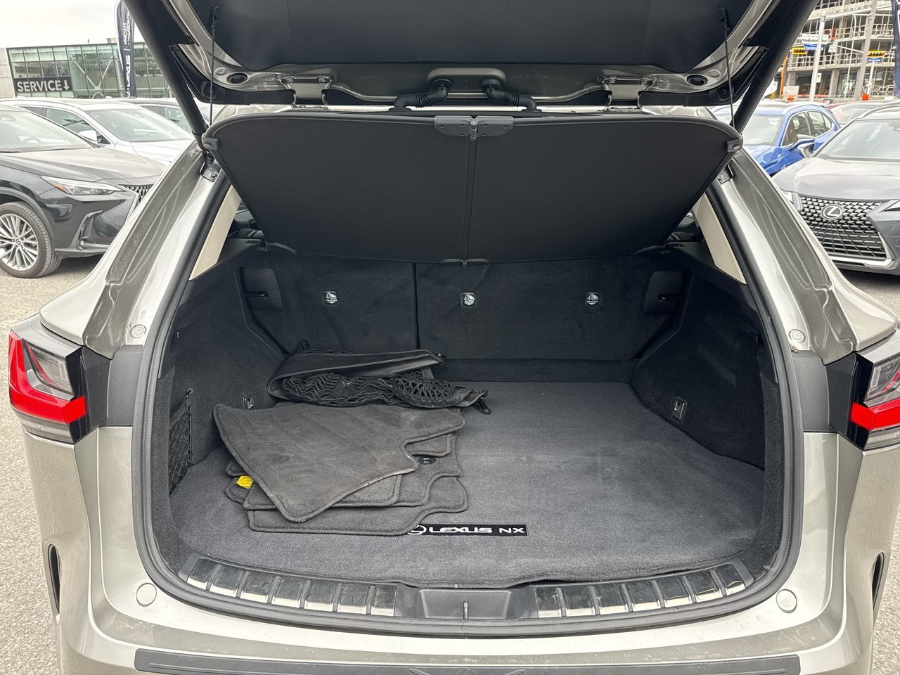 2025 Lexus NX
