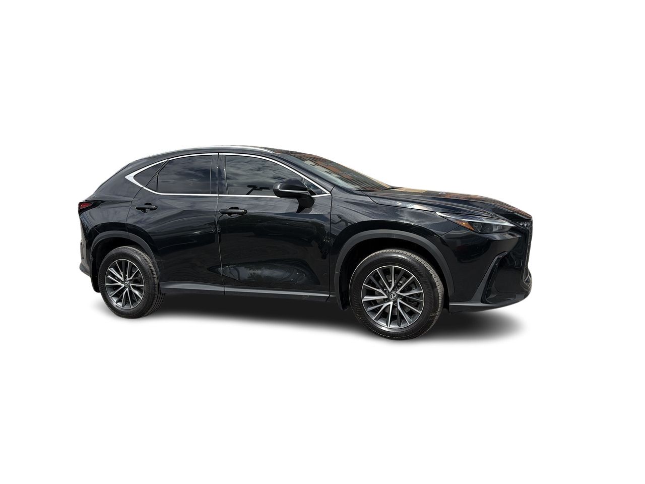 2025 Lexus NX