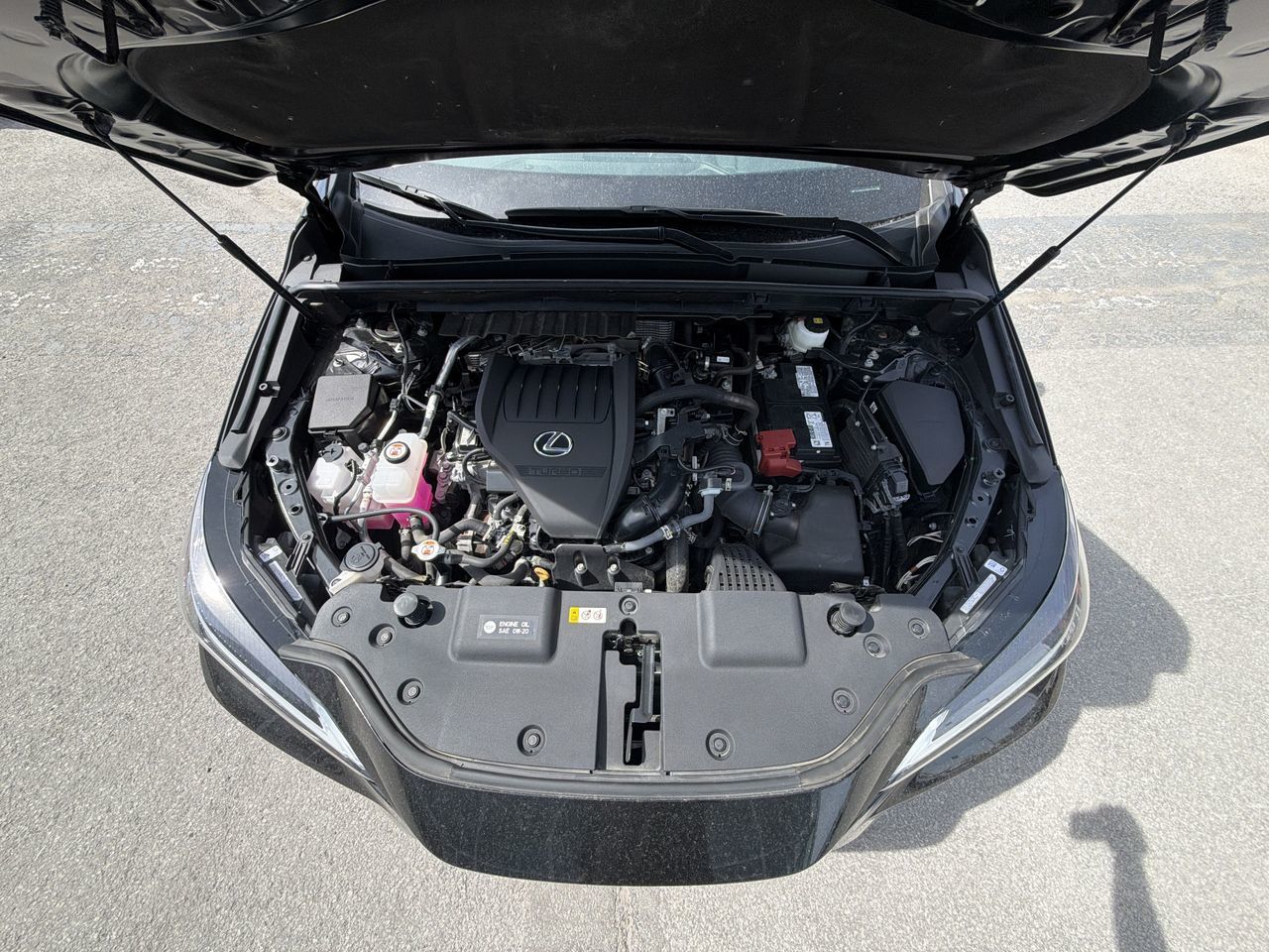 2025 Lexus NX in Laval, Quebec