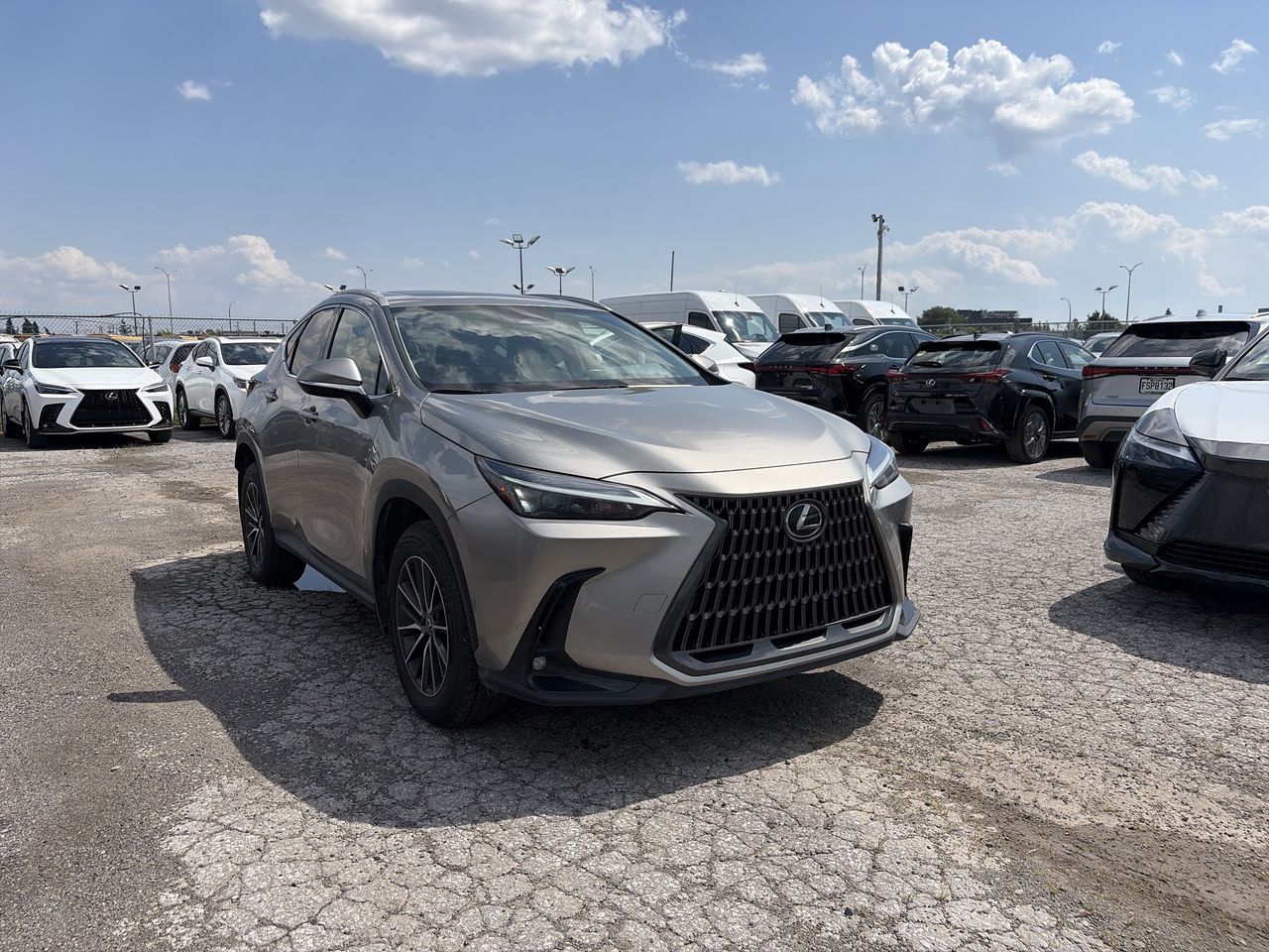 2025 Lexus NX