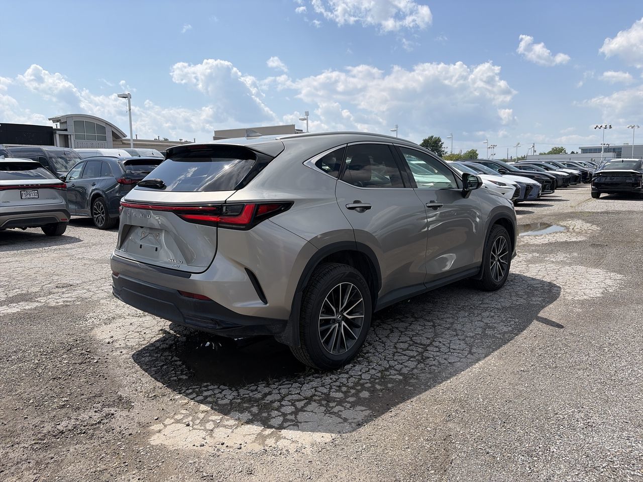 2025 Lexus NX
