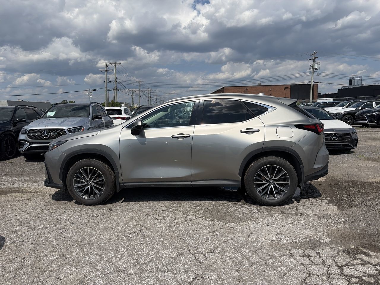 2025 Lexus NX