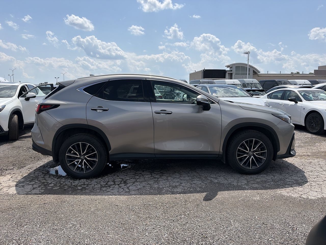 2025 Lexus NX