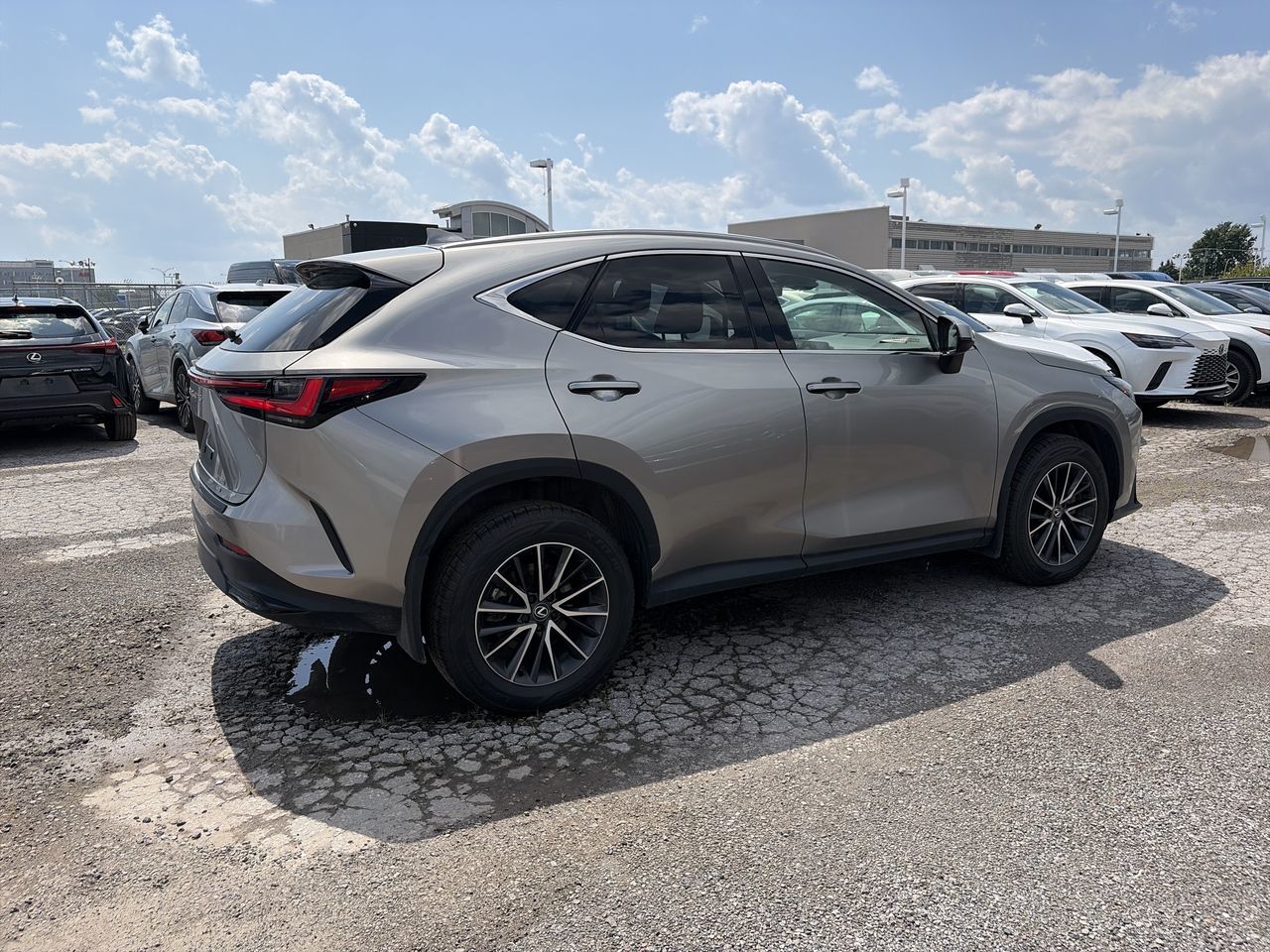 2025 Lexus NX