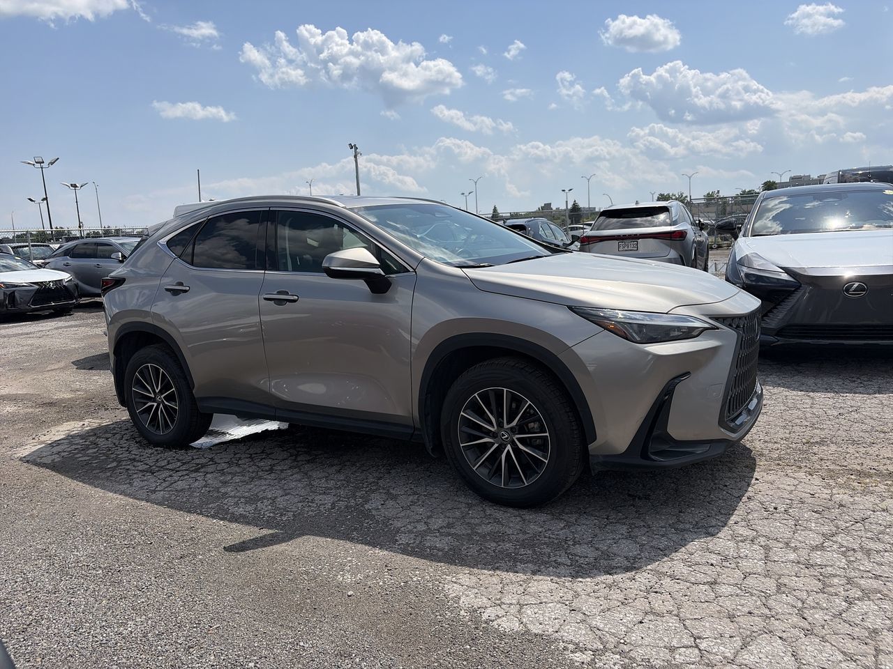 2025 Lexus NX