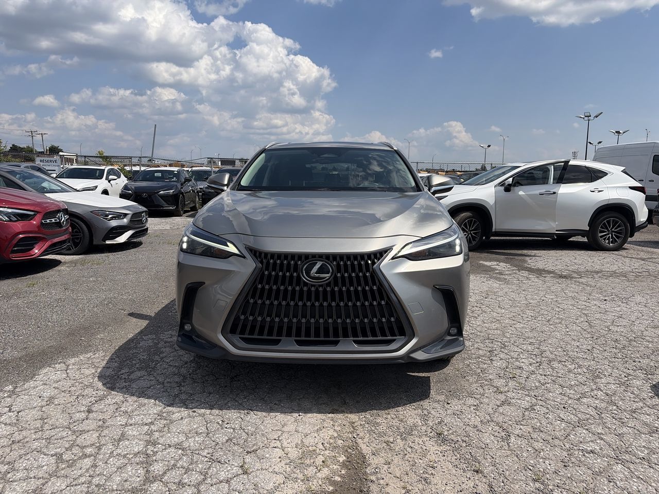 2025 Lexus NX