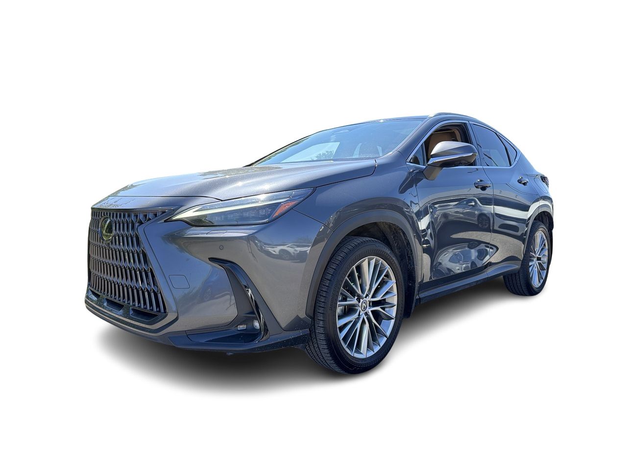 Lexus NX  2025