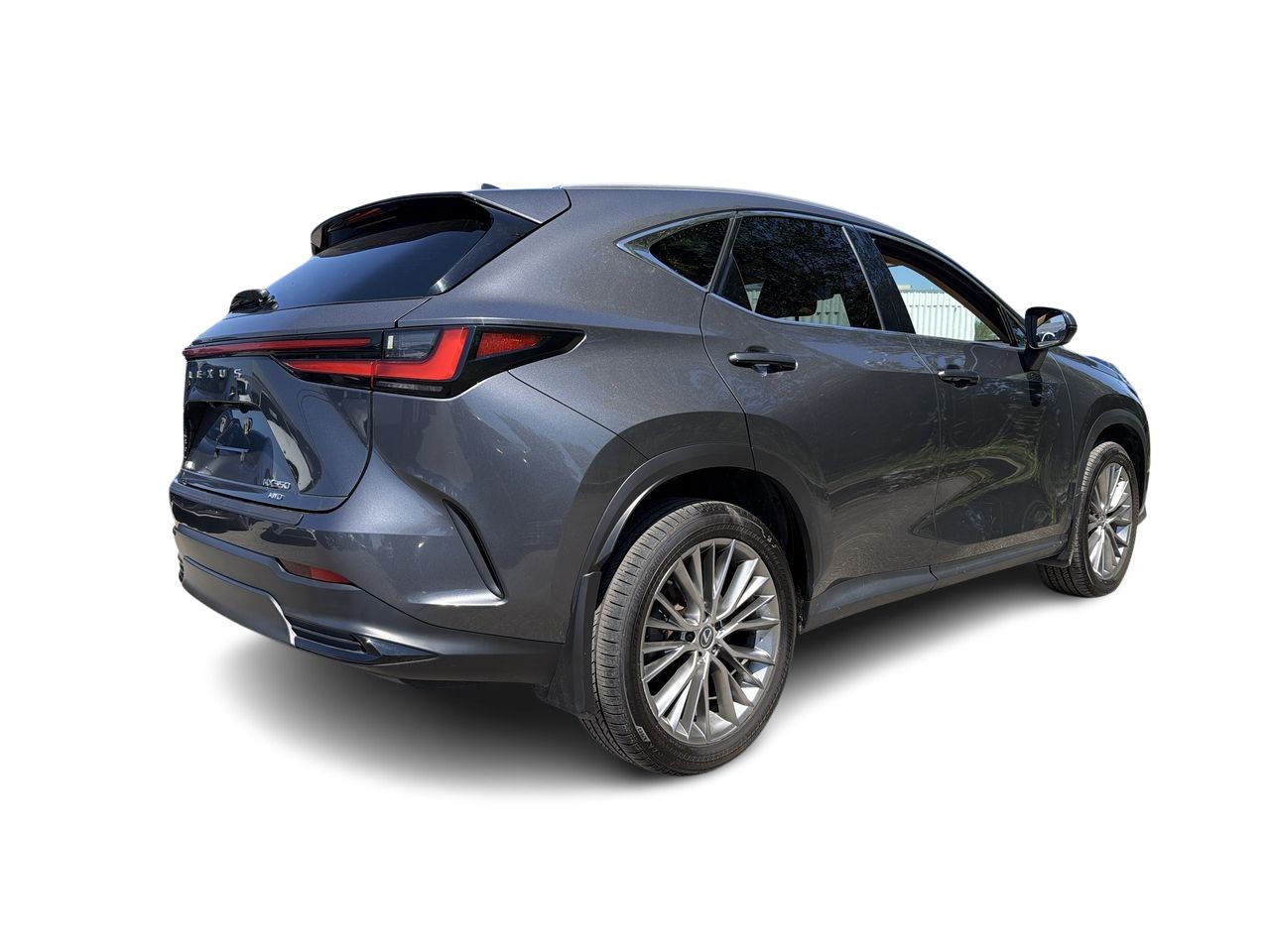Lexus NX  2025