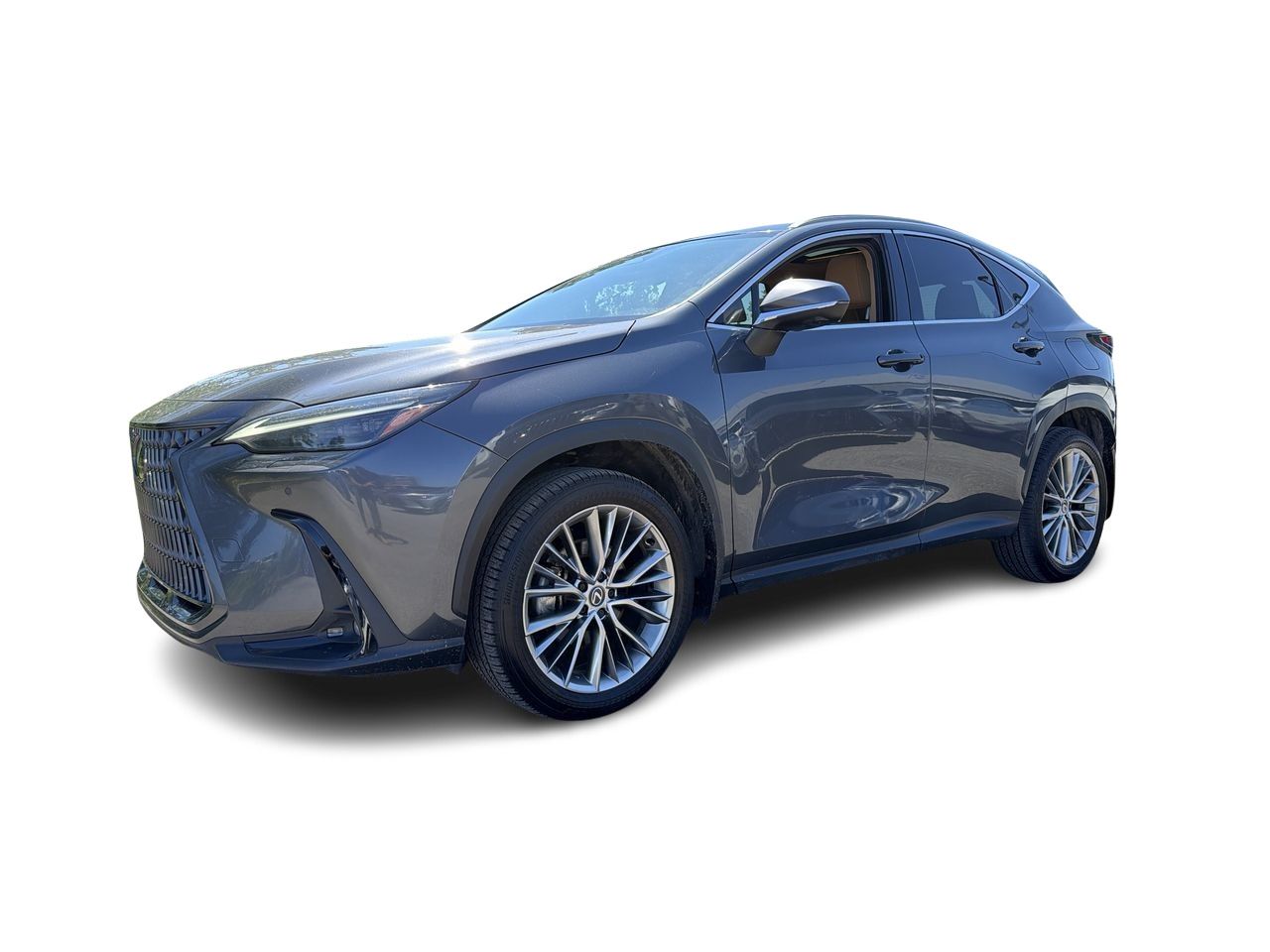 Lexus NX  2025