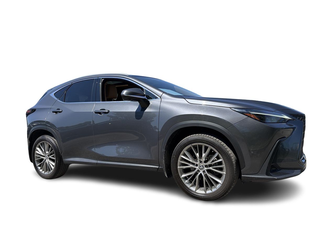 Lexus NX  2025