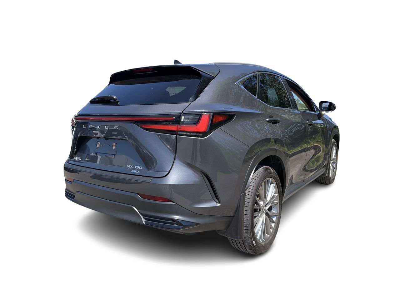 Lexus NX  2025