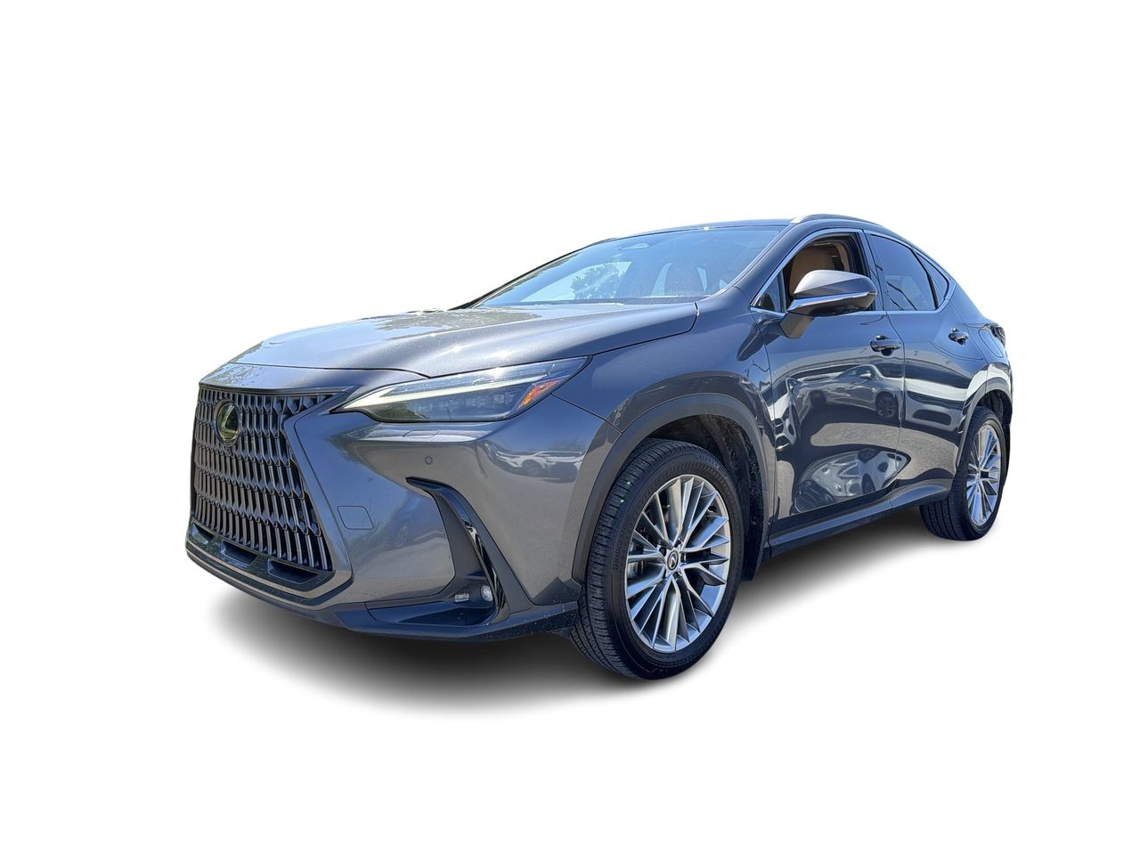 Lexus NX  2025