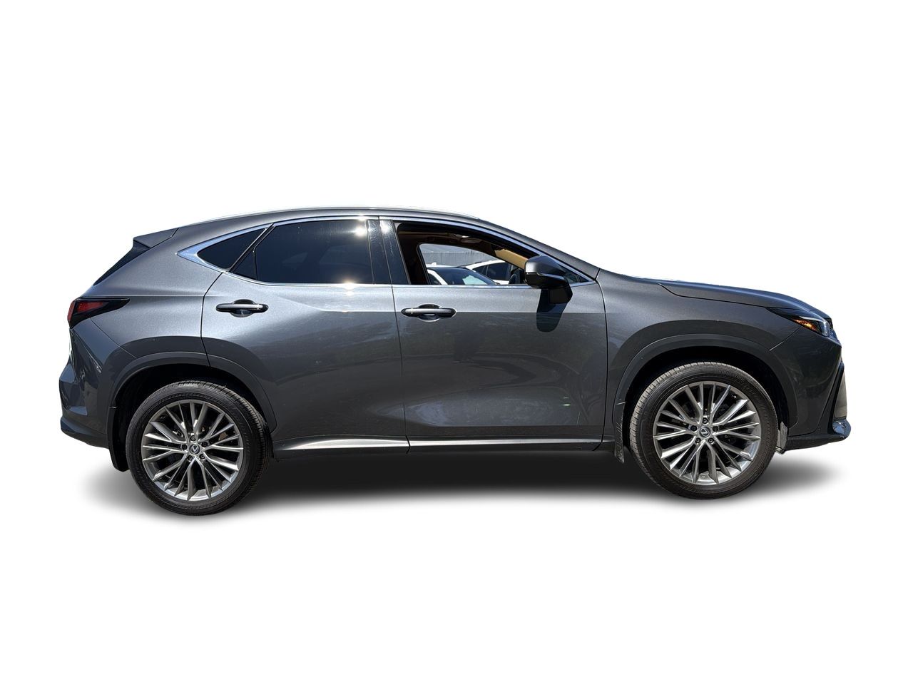 Lexus NX  2025