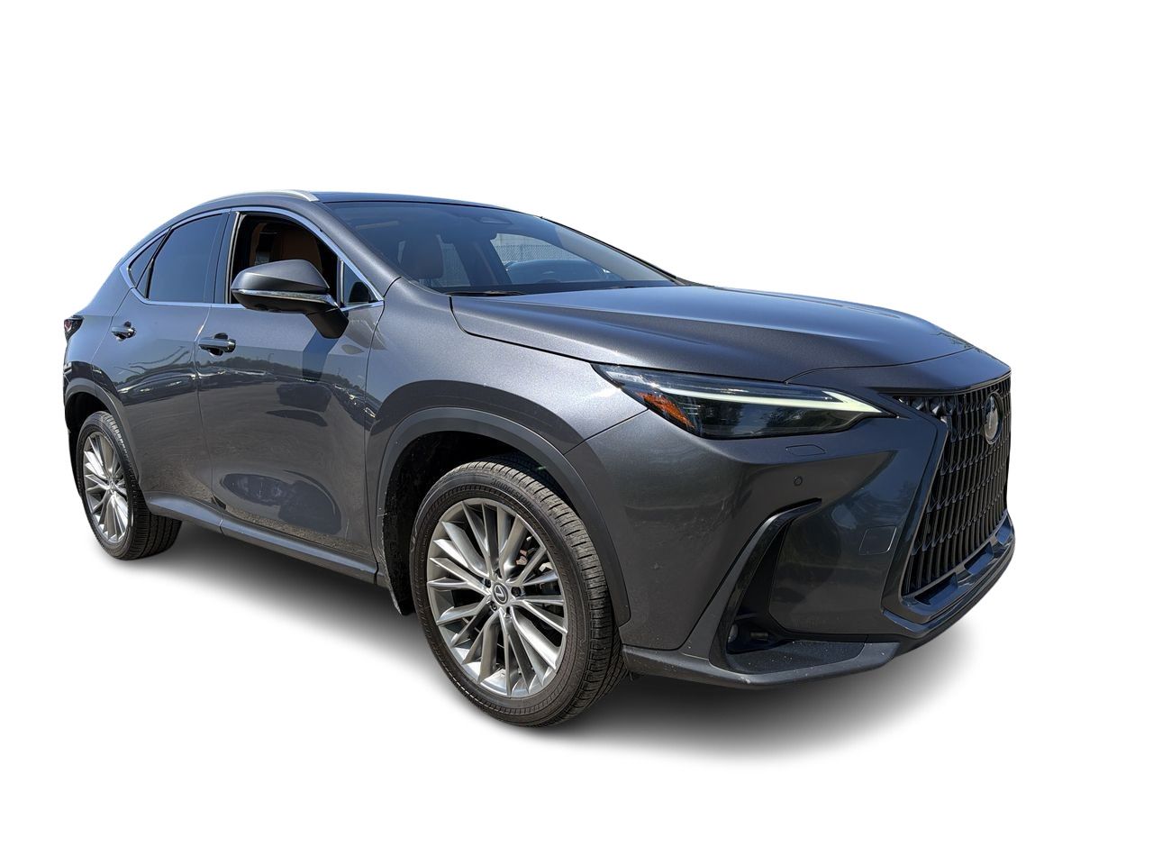 Lexus NX  2025