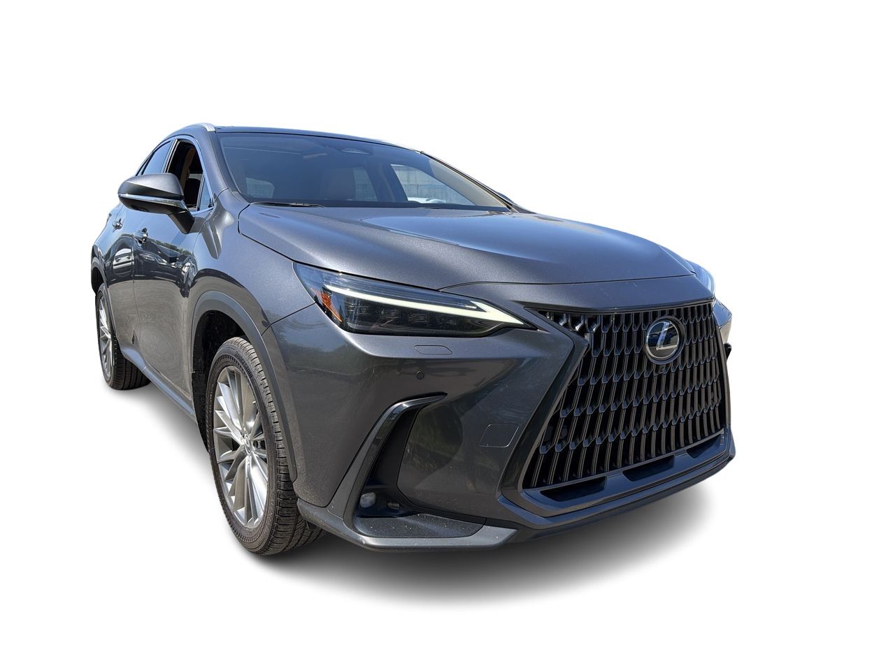 Lexus NX  2025