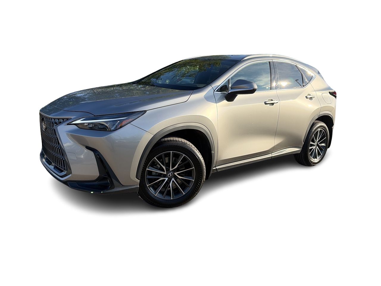 2025 Lexus NX