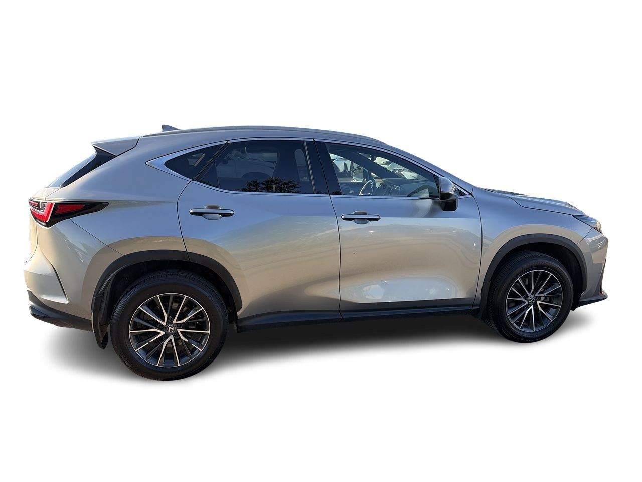 2025 Lexus NX