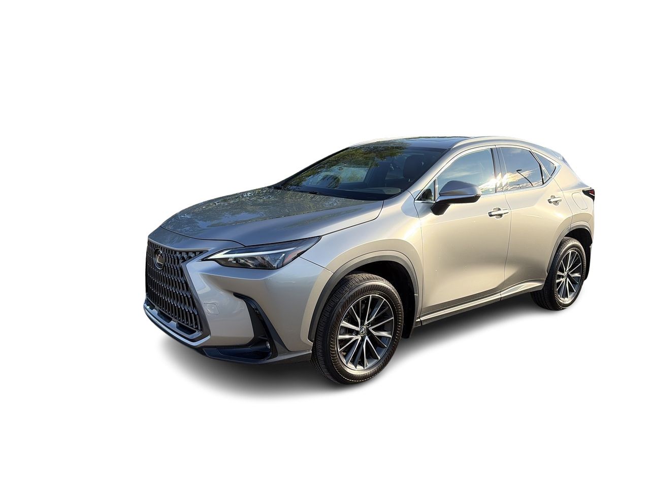 2025 Lexus NX