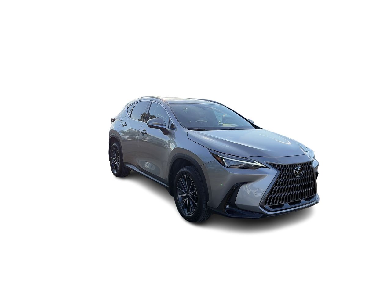 2025 Lexus NX