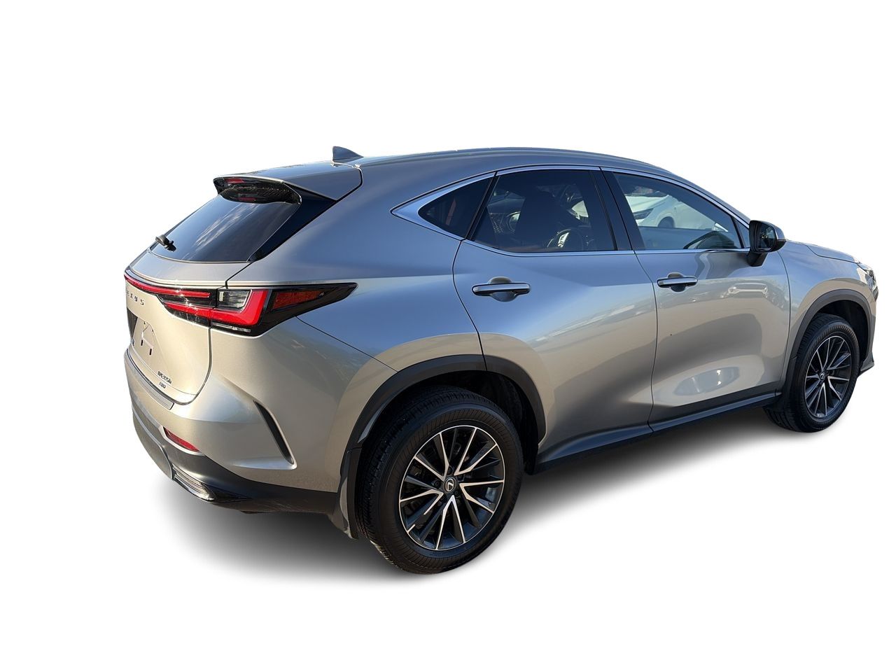 2025 Lexus NX