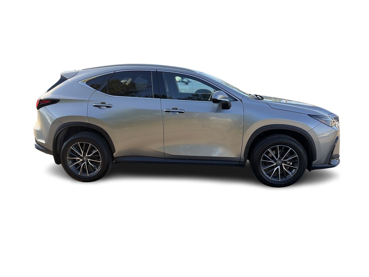 2025 Lexus NX