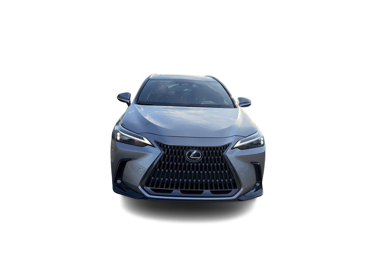 2025 Lexus NX
