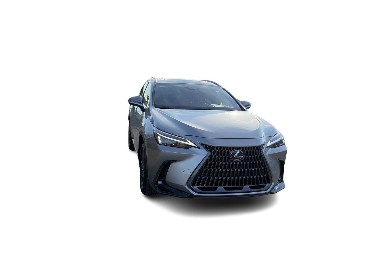 2025 Lexus NX