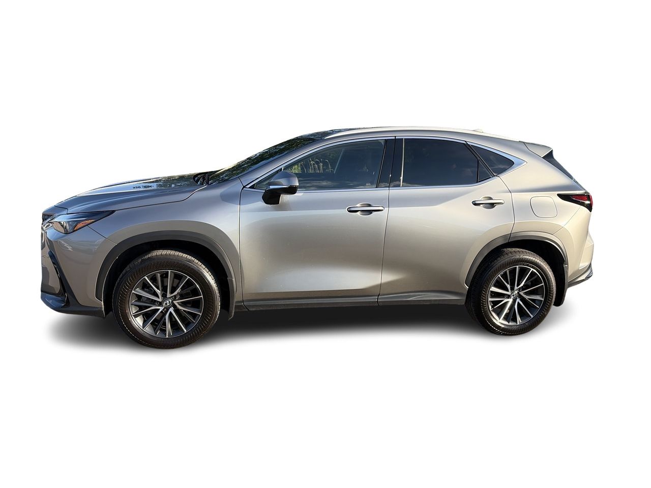 2025 Lexus NX