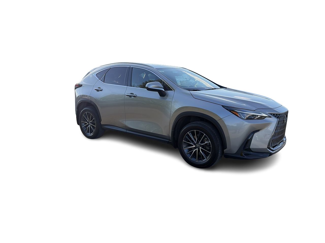 2025 Lexus NX