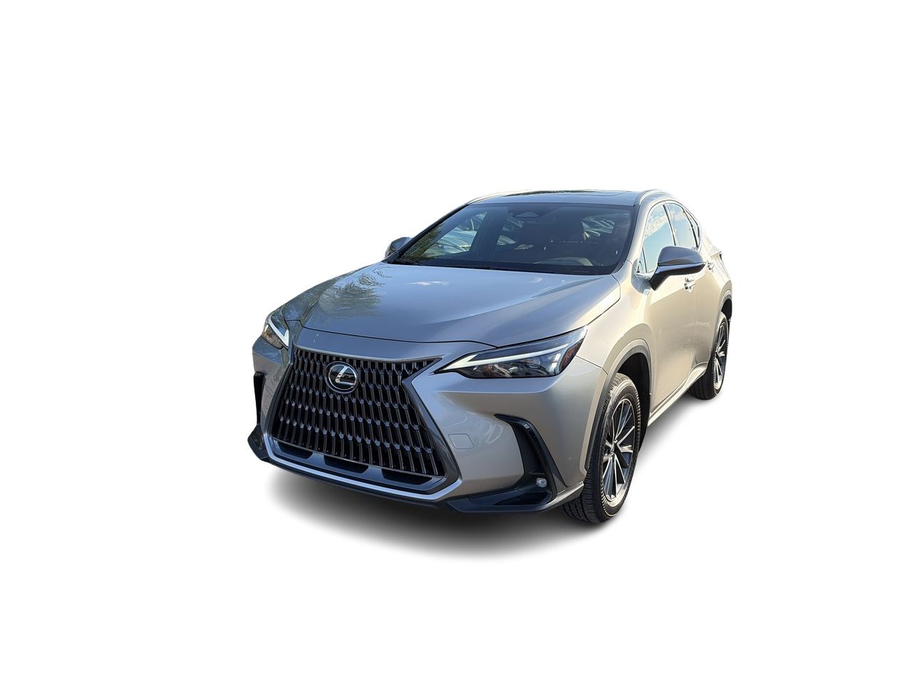 2025 Lexus NX