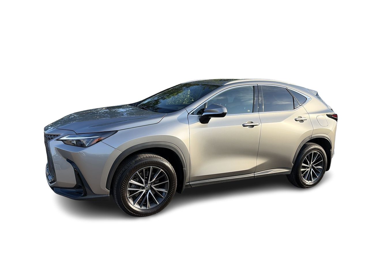 2025 Lexus NX