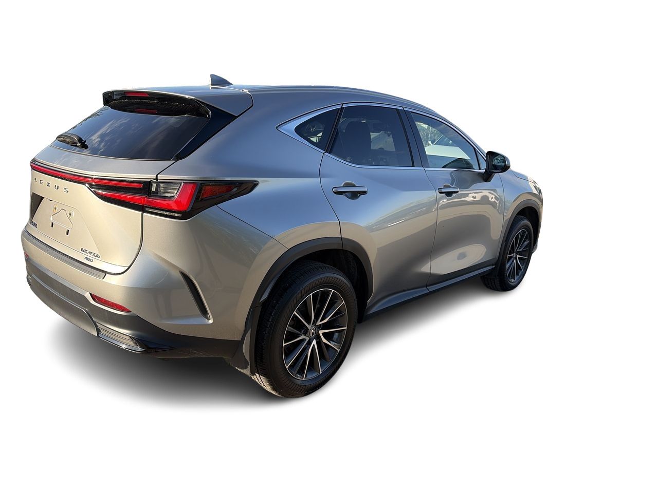 2025 Lexus NX