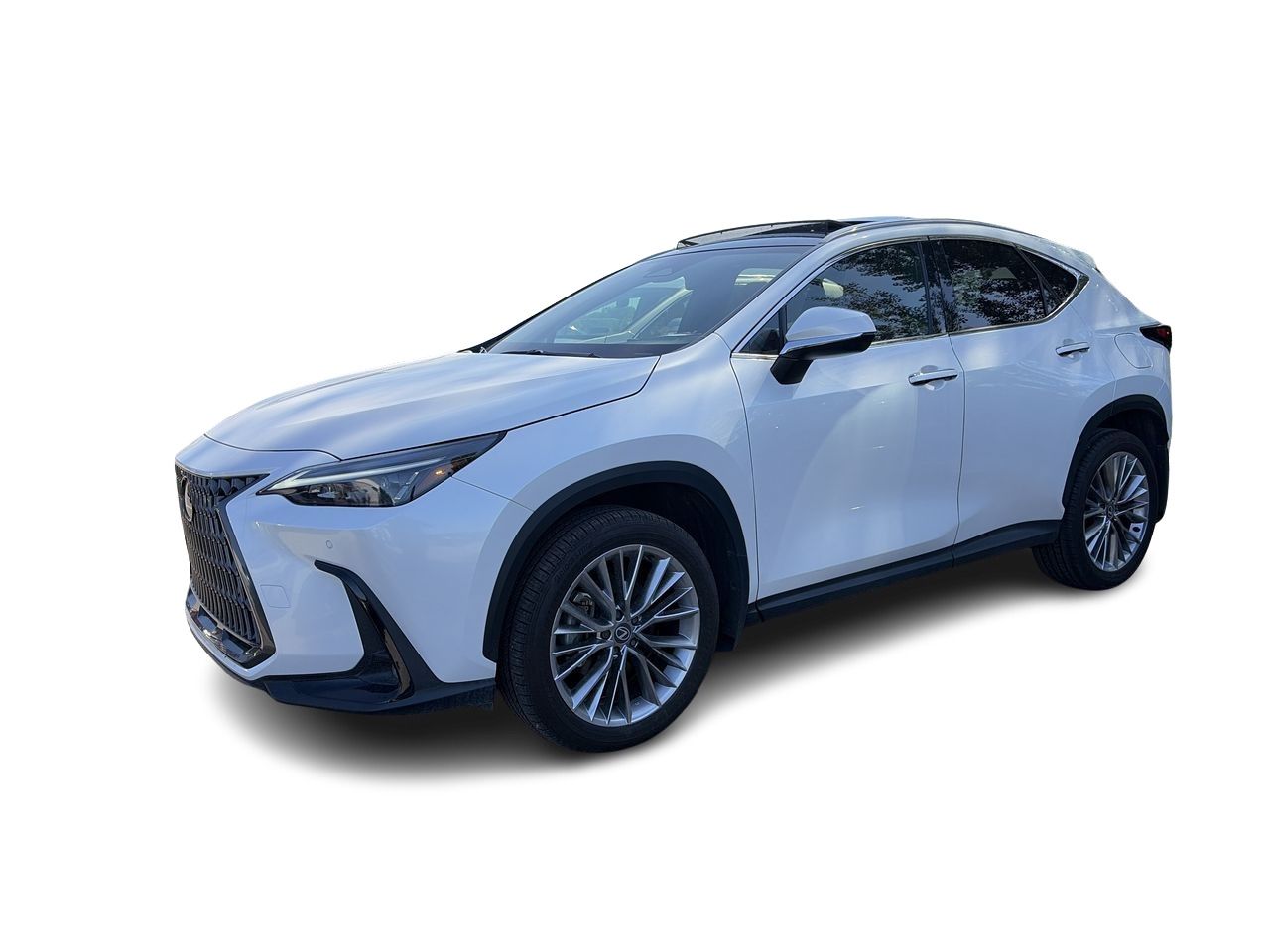 2025 Lexus NX