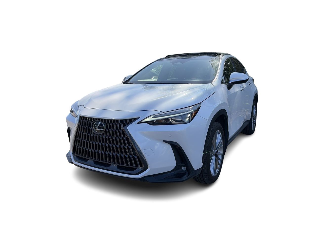 2025 Lexus NX
