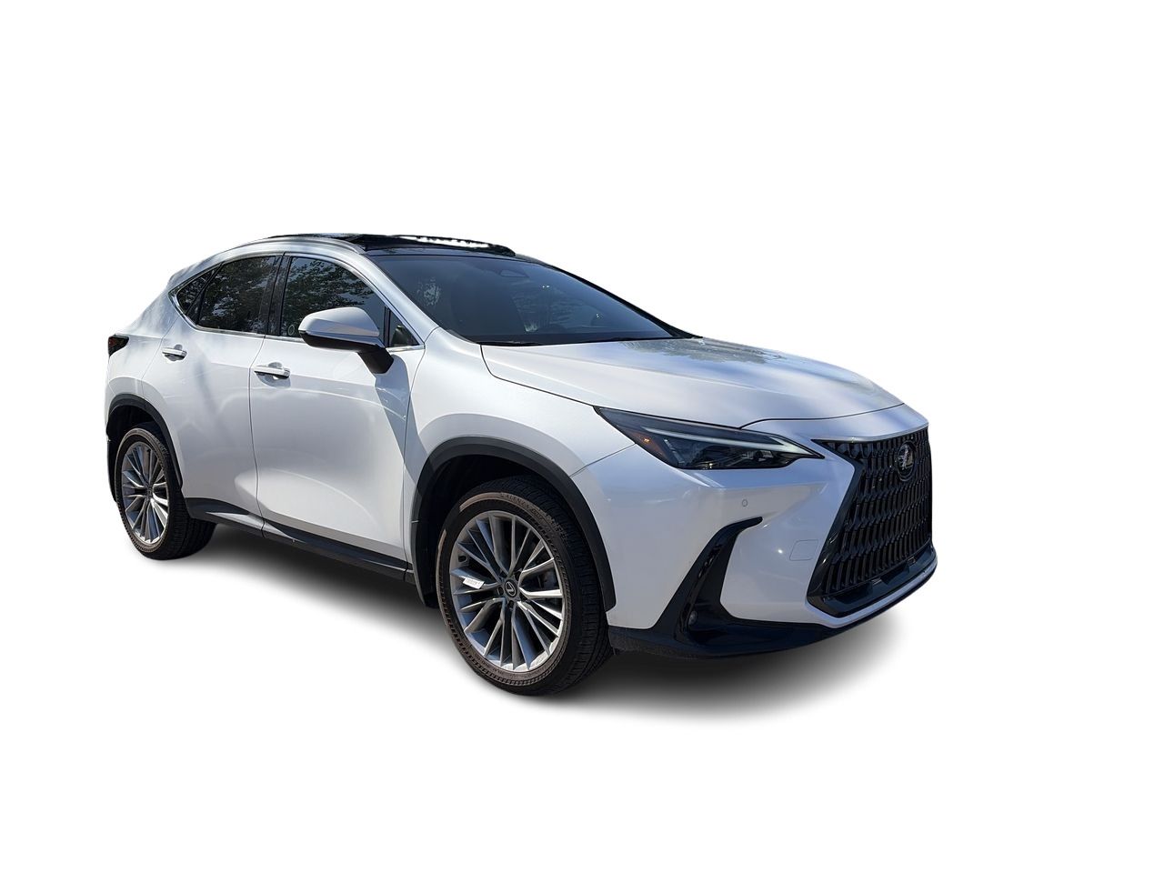2025 Lexus NX