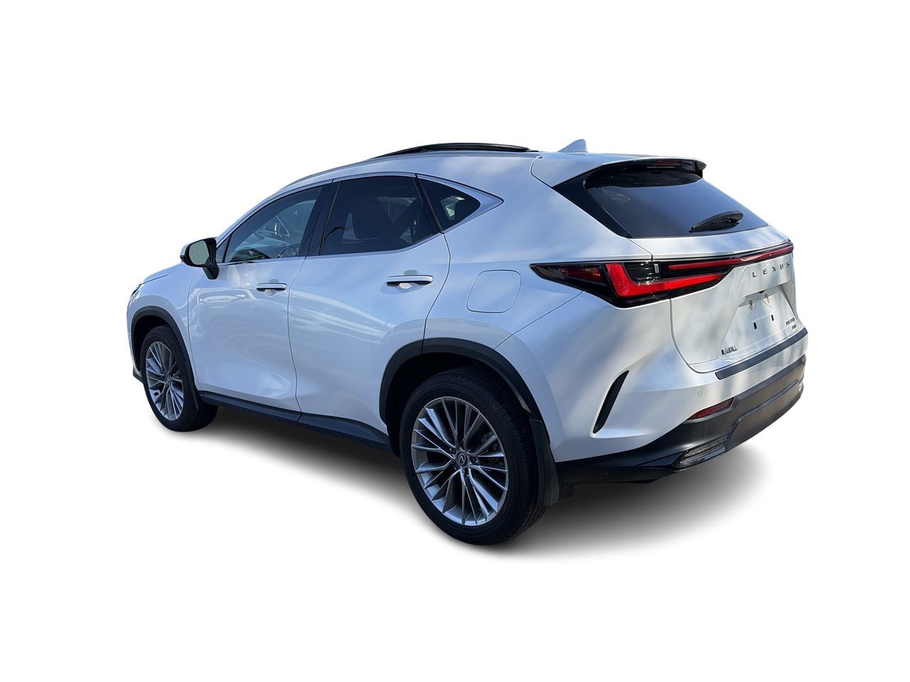 2025 Lexus NX