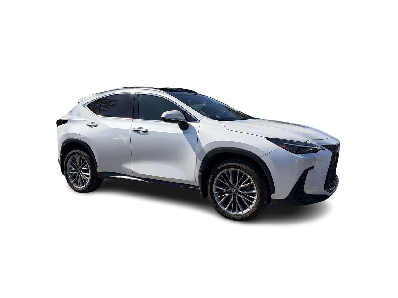 2025 Lexus NX