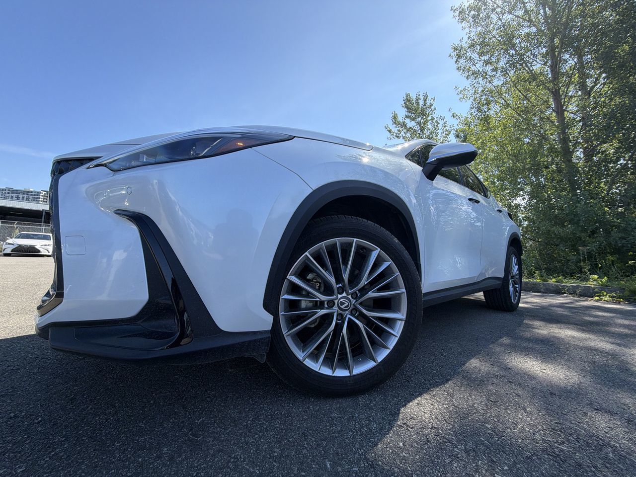 2025 Lexus NX