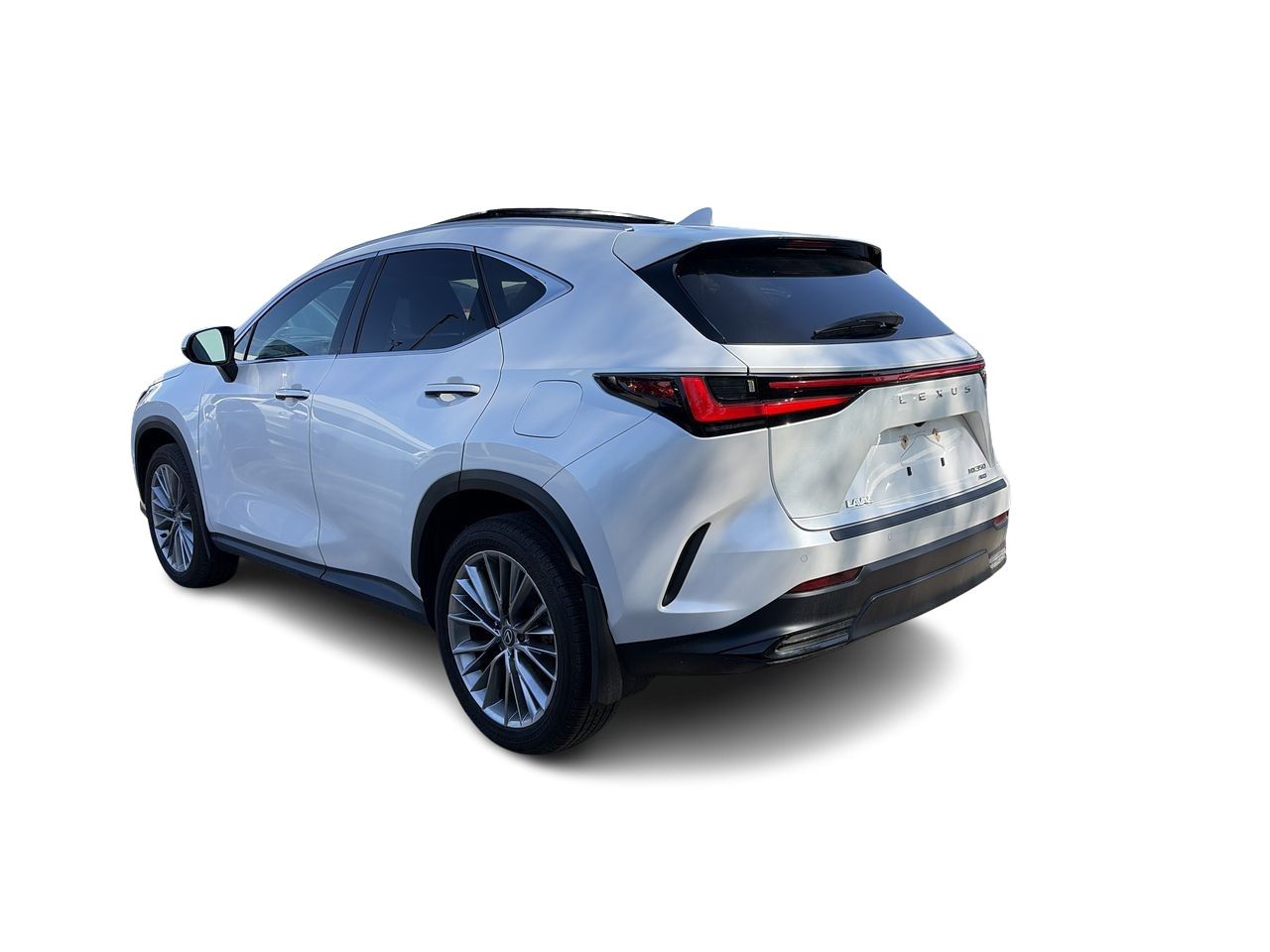 2025 Lexus NX