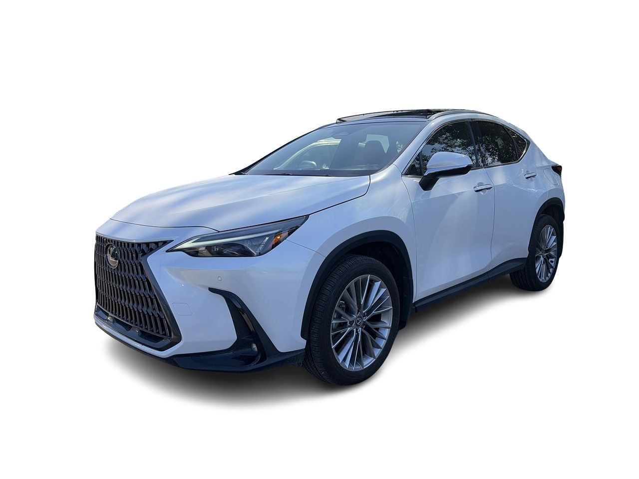 2025 Lexus NX